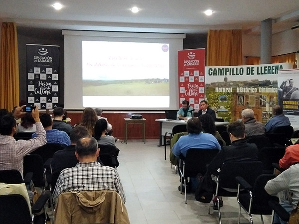 Conferencias y estudios.