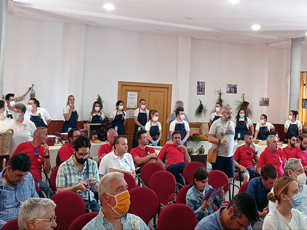 Organización de jornadas y congresos.